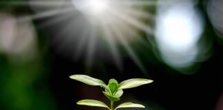 Em 11 meses, contratações do crédito rural superam volume previsto para o Plano Safra 2021-2022