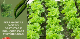 Entrevista exclusiva sobre fertilizantes especiais e fertirrigação