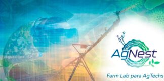 Embrapa e parceiros criam hub de inovação e sustentabilidade do agro nacional