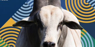 Principais referências pecuaristas, da indústria frigorífica e do setor financeiro falam sobre setor em contexto de abastecimento mundial