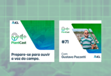 Algodoeiro, fotossíntese e FBN temas de professor da UniRV