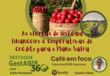 As ofertas do sistema financeiro e cooperativas de crédito para o Plano Safra
