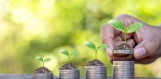 Consultoria realiza estudo sobre oportunidades e riscos para o agro