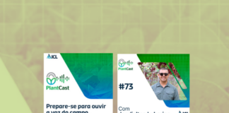 Viticultura no semiárido do Nordeste brasileiro: o papel da irrigação