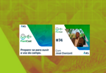 Florada do café: a fisiologia como solução para dificuldades abióticas