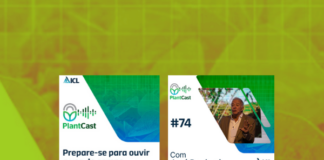 Florada do café: a fisiologia como solução para dificuldades abióticas