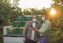 Cooperativas de crédito disponibilizam mais de R$ 100 bi para safra 2022-2023