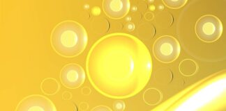 Brasil produzirá Coenzima Q10 a partir da biofermentação da cana-de-açúcar reduzindo necessidade de importação