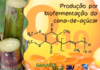 Coenzima Q10 por biofermentação da cana-de-açúcar
