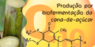 Coenzima Q10 por biofermentação da cana-de-açúcar