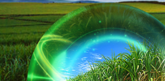 Cana Experts Club: ICL cria ambiente voltado a profissionais do setor sucroenergético