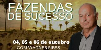 Fazendas de sucesso: em série on-line gratuita, consultor dá dicas fundamentais