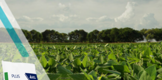 PotashpluS completa portfólio da ICL para solos