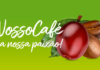 Concurso NossoCafé: inscrições vão até 30 de setembro, com novidades