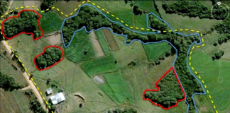 São Paulo comemora 100% do CAR e PRA analisados e processados