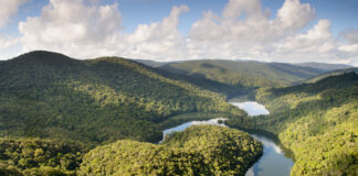 ARTIGO – Compensação de Reserva Legal, uma aliada dos negócios