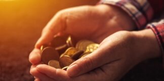 Desafios do crédito para o agronegócio: tema de evento on-line e gratuito