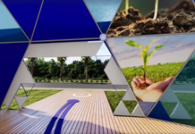 ARTIGO – O maior festival de criatividade do Agro brasileiro surpreende pela ousadia e capacidade de se reinventa