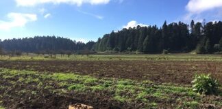 Nova linha de biofertilizante busca corrigir, construir e incrementar a fertilidade em todo o seu perfil