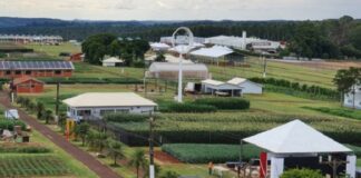 Show Rural Coopavel: Embrapa, Apasem e IDR levam novidades