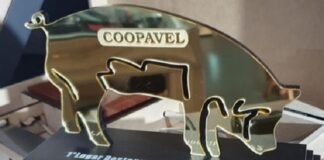 Coopavel vai premiar no Show Rural melhores criadores de suínos de 2022