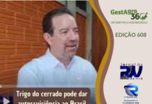 Brasil pode ser autossuficiente e exportador de trigo em 10 anos, afirma Celso Moretti
