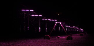 Show Rural Coopavel – Irrigação e luz: tecnologia sustentável aumenta produtividade