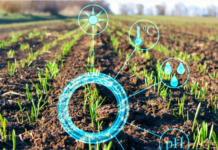 Plataforma digital com base em inteligência artificial da ICL promove práticas de agricultura sustentável no Brasil