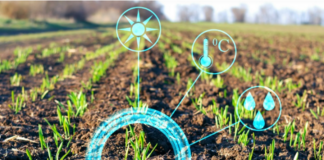 Plataforma digital com base em inteligência artificial da ICL promove práticas de agricultura sustentável no Brasil