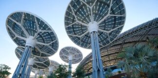 COP 28: o papel desempenhado pelo Brasil, segundo especialista em agro