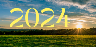 Rede especializada em crédito rural sinaliza expectativas para 2024