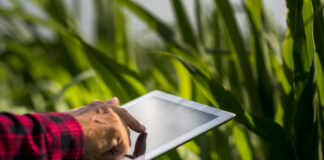 Agrodigital: nova graduação atende demanda do agronegócio e foca em tecnologias e inovações