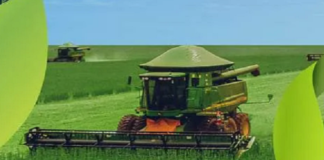 Recuperação judicial cresce no agro e especialistas apontam os efeitos para obtenção de crédito