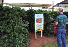 Femagri 2024: Fazendinha apresenta soluções aos cafeicultores