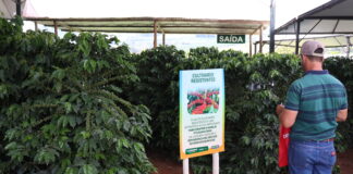 Femagri 2024: Fazendinha apresenta soluções aos cafeicultores