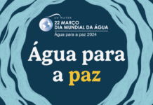 ARTIGO – Fertilizantes especiais: contribuições para o uso responsável da água na agricultura