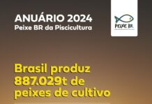 Levantamento da Peixe BR aponta avanço de 3,1% em 2023