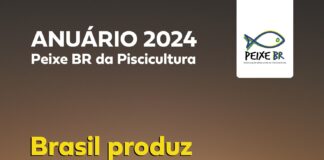 Levantamento da Peixe BR aponta avanço de 3,1% em 2023
