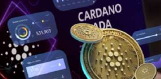 Sicredi projeta conceder R$ 500 milhões com linha Procapcred, até dezembro de 2025