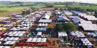 Agro atrai atenção da THK