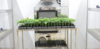 Laboratório multidisciplinar para a agricultura leva investimentos de R$ 23 milhões a Mogi Mirim