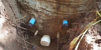 Agrishow: Fundação Coopercitrus Credicitrus e Bauer recuperam nascentes e APP