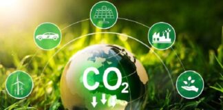 CBDA: O mercado de carbono e as grandes oportunidades de desenvolvimento no País