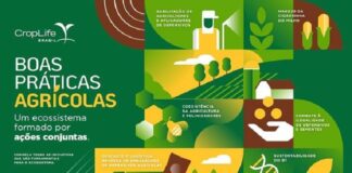 Brasil perde R$ 10 bi com pirataria de sementes de soja, informa CropLife Brasil