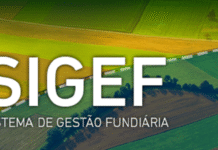 Imóveis rurais: em 15 de junho passa a vigorar novo sistema de regularização