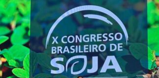 Biotecnologias impactam positivamente a cultura da soja
