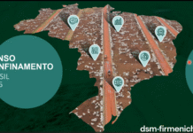 Cresce confinamento na pecuária de corte