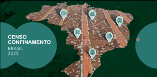 Cresce confinamento na pecuária de corte