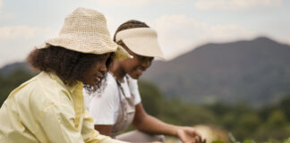 ARTIGO – Por que é tão difícil falar de sucessão com o produtor rural — e como superar essa resistência