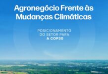 Posicionamento do agro para COP30 destaca contribuição do setor para agenda climática